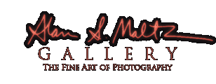 Alan S. Maltz Gallery - The Fine Art of Photography