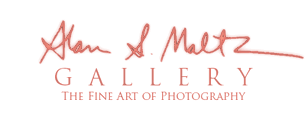 Alan S. Maltz Gallery - The Fine Art of Photography