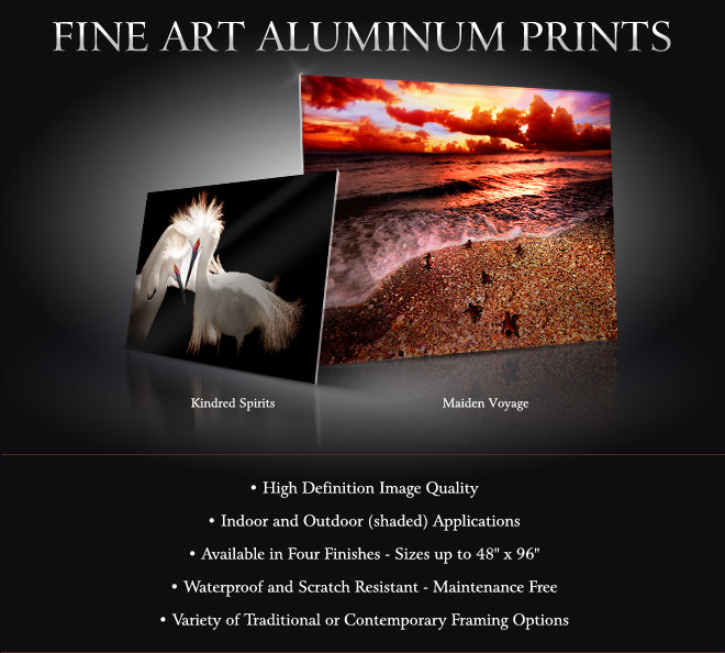 Aluminum Prints